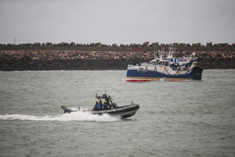 Pesca mata acidentalmente 200 mil aves marinhas por ano na Europa