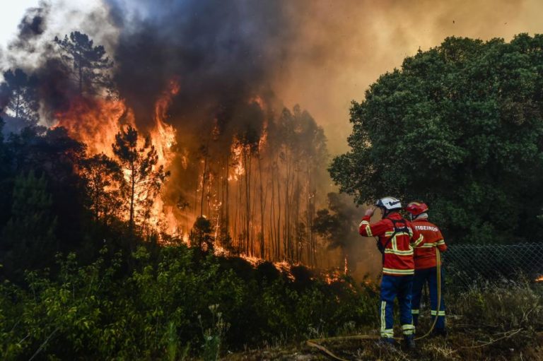 Google lança ferramenta de mapeamento de incêndios florestais em Portugal e mais 14 países