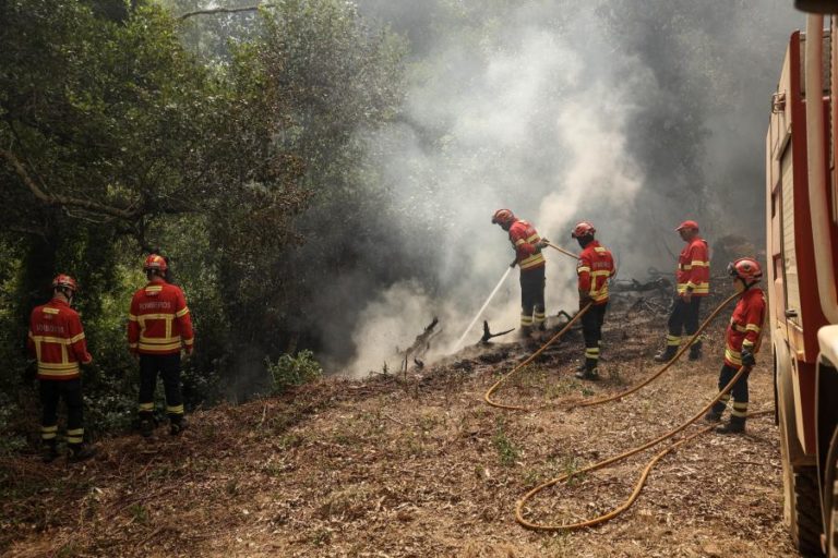 Cerca de 40 concelhos de sete distritos em perigo máximo de incêndio