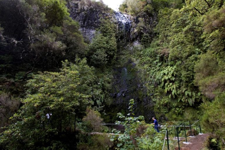 Candidatura das Levadas da Madeira à UNESCO retirada para incluir canais privados