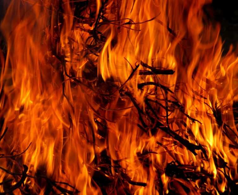 Incêndios Florestais: Chamas em Jasper transformam-se em tempestade de fogo