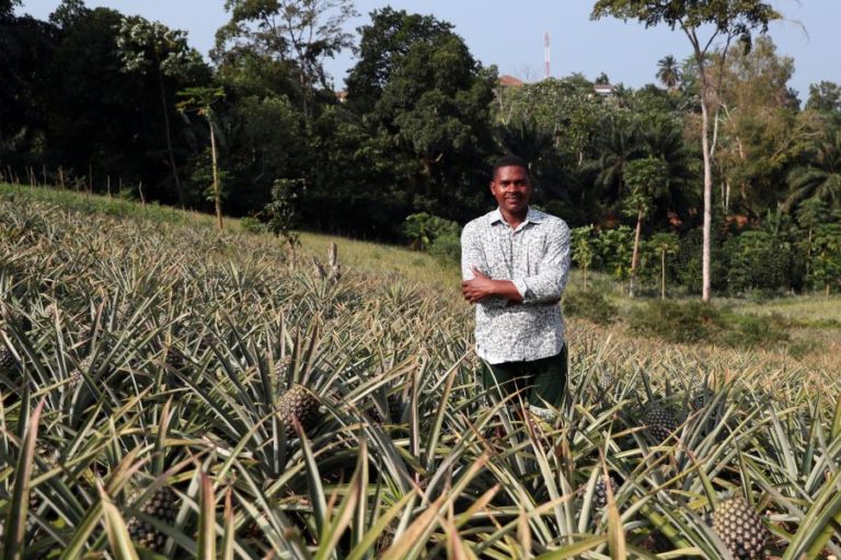 Governo são-tomense vai iniciar recenseamento agrícola