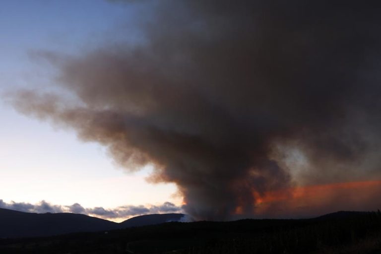 Mais de 20 concelhos do interior Centro e Algarve em risco máximo de incêndio