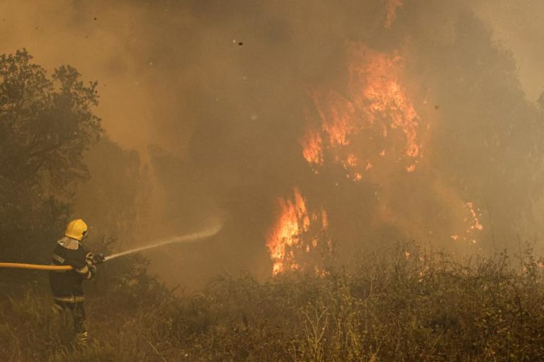 Cerca de 50 concelhos do interior Norte e Centro e município de Tavira em risco máximo de incêndio