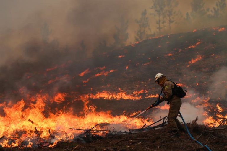 Cerca de 20 concelhos do interior Norte e Centro e Algarve em risco máximo de incêndio