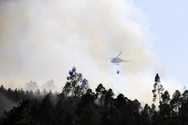 Maioria dos distritos do interior norte e centro em perigo máximo de incêndio