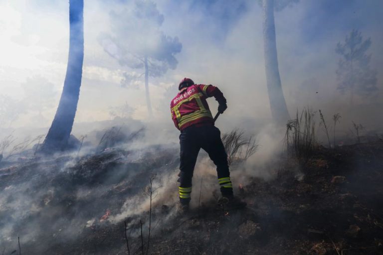 Grande parte do interior Norte e Centro  em risco máximo de incêndio