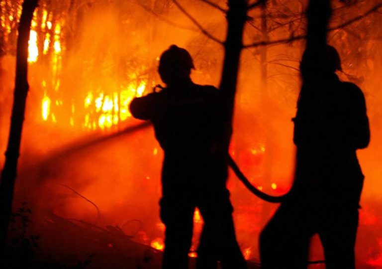 Treze concelhos de quatro distritos em perigo máximo de incêndio