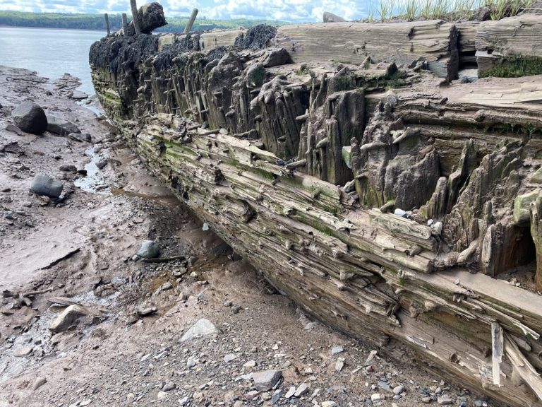 Descobertas históricas: Chuvas fortes desenterram navio centenário em Nova Scotia