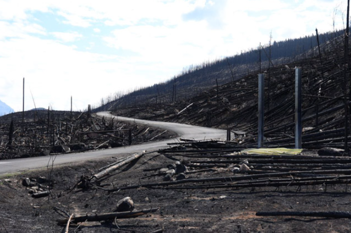 Incêndios florestais: Milhares de pessoas continuam deslocadas das suas casas