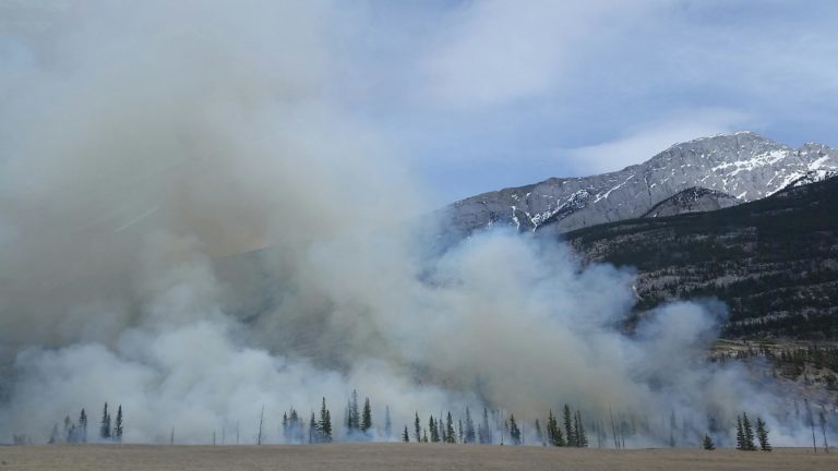 Incêndios florestais: Temporada de incêndios de 2024 é uma das piores da história do Canadá