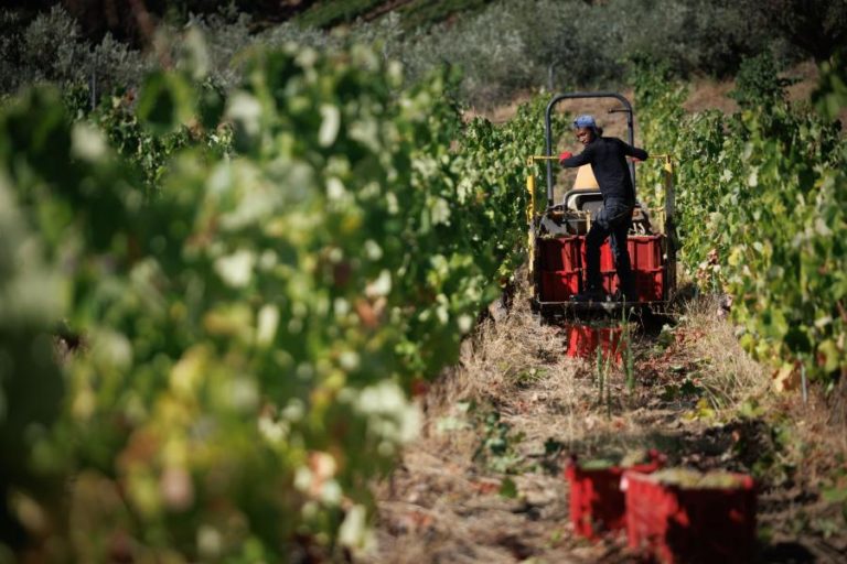 Petição que reclama soluções para a crise no Douro entregue no parlamento